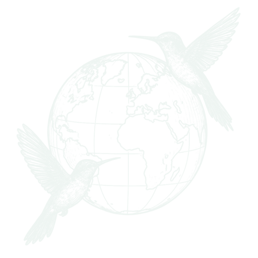 inampla hummingbirds and globe logo